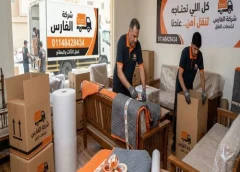 أماكن بيع كراتين فارغة الزمالك